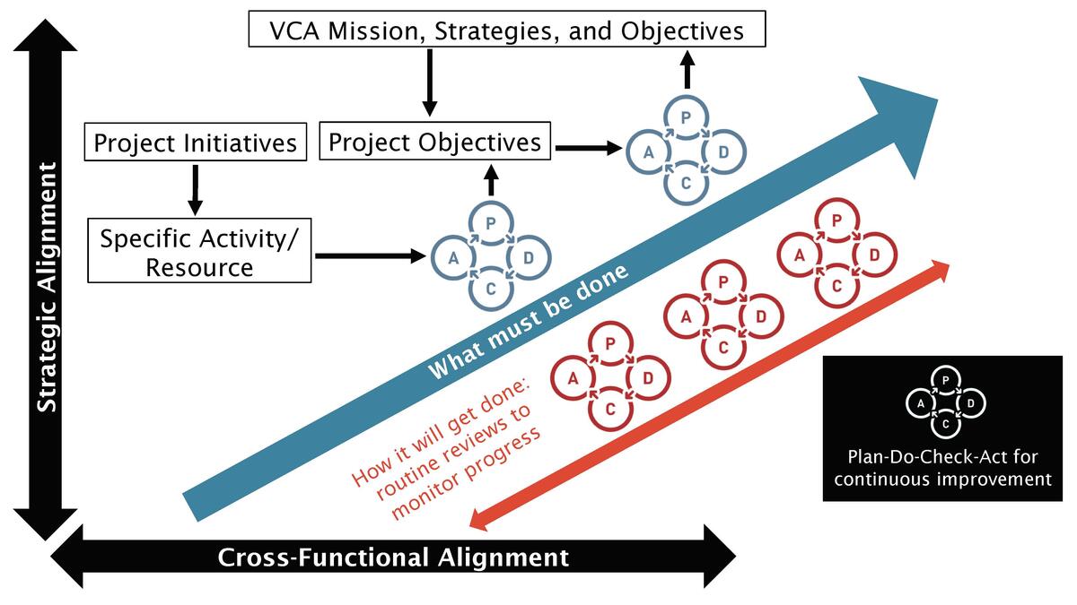 Growth in Cross-Functional and Strategic Alignment occurs due to continuous improvement cycles