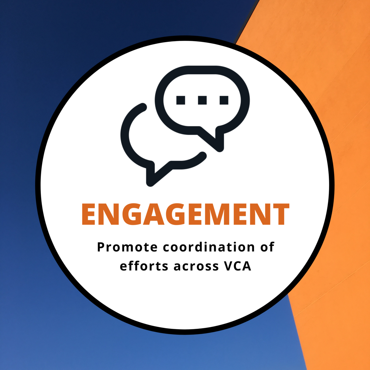Engagement: Promote coordination of efforts across VCA