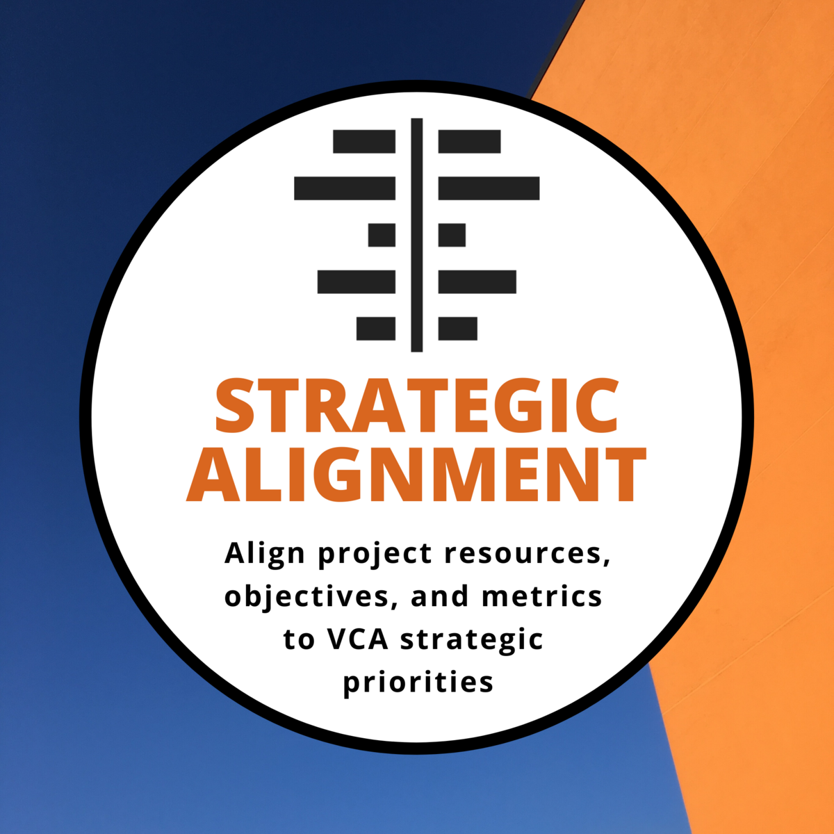 Strategic Alignment: Align project resources, objectives, and metrics to VCA strategic priorities